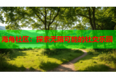 海角社区：探索无限可能的社交乐园