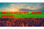 海角论坛的神秘面纱揭开，背后隐藏着哪些秘密？